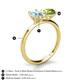 4 - Tanya Oval Shape Aquamarine & Cushion Shape Peridot 2 Stone Duo Ring 