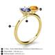 4 - Tanya Oval Shape Iolite & Cushion Shape Citrine 2 Stone Duo Ring 