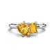 1 - Nadya Pear & Emerald Shape Citrine 2 Stone Duo Ring 