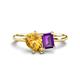 1 - Nadya Pear Shape Citrine & Emerald Shape Amethyst 2 Stone Duo Ring 