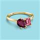 3 - Nadya Pear Shape Rhodolite Garnet & Emerald Shape Pink Tourmaline 2 Stone Duo Ring 