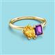 3 - Nadya Pear Shape Citrine & Emerald Shape Amethyst 2 Stone Duo Ring 