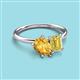 3 - Nadya Pear Shape Citrine & Emerald Shape Yellow Sapphire 2 Stone Duo Ring 