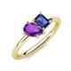 4 - Nadya Pear Shape Amethyst & Emerald Shape Iolite 2 Stone Duo Ring 