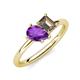 4 - Nadya Pear Shape Amethyst & Emerald Shape Smoky Quartz 2 Stone Duo Ring 