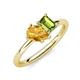 4 - Nadya Pear Shape Citrine & Emerald Shape Peridot 2 Stone Duo Ring 