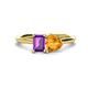 1 - Esther Emerald Shape Amethyst & Heart Shape Citrine 2 Stone Duo Ring 