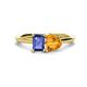 1 - Esther Emerald Shape Iolite & Heart Shape Citrine 2 Stone Duo Ring 