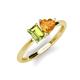 3 - Esther Emerald Shape Peridot & Heart Shape Citrine 2 Stone Duo Ring 