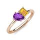 4 - Nadya Pear Shape Amethyst & Emerald Shape Citrine 2 Stone Duo Ring 