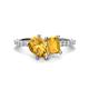 1 - Zahara 9x6 mm Pear and 7x5 mm Emerald Cut Citrine 2 Stone Duo Ring 