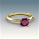 3 - Elodie 6.00 mm Cushion Rhodolite Garnet Solitaire Engagement Ring 