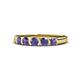 4 - Roena 0.66 ctw Iolite Round (3.80 mm) & (3.30 mm) 5 Stone Wedding Band 