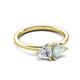 3 - Francesca 1.30 ctw Heart Shape (6.00 mm) GIA Certified Natural Diamond & Opal Toi Et Moi Engagement Ring 