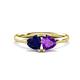 1 - Francesca 1.58 ctw Heart Shape (6.00 mm) Lab Created Blue Sapphire & Amethyst Toi Et Moi Engagement Ring 