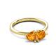 3 - Francesca 1.36 ctw Heart Shape (6.00 mm) Citrine Toi Et Moi Engagement Ring 