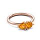 3 - Francesca 1.36 ctw Heart Shape (6.00 mm) Citrine Toi Et Moi Engagement Ring 