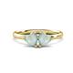 1 - Francesca 0.90 ctw Heart Shape (6.00 mm) Opal Toi Et Moi Engagement Ring 