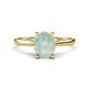 1 - Zaire 1.43 ctw Opal Oval Shape (9x7 mm) accented side Natural Diamond Hidden Halo Engagement Ring 