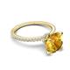 5 - Aisha 2.25 Ctw (8.00 mm) Round Citrine with side Lab Grown Diamond Hidden Halo Engagement ring