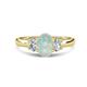 1 - Gemma 8x6 mm Oval Cut Opal and Lab Grown Diamond Trellis Three Stone Engagement Ring 