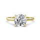 1 - Zaire 1.70 ctw Moissanite Hidden Halo accented Side Natural Diamond Engagement Ring 