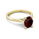 5 - Zaire 2.31 ctw Red Garnet Oval Shape (9x7 mm) Hidden Halo Engagement Ring 