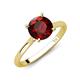 3 - Zaire 2.36 ctw Red Garnet Hidden Halo accented Side Natural Diamond Engagement Ring 