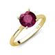 3 - Zaire 2.36 ctw Rhodolite Garnet Hidden Halo accented Side Natural Diamond Engagement Ring 