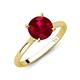 3 - Zaire 2.85 ctw Created Ruby Hidden Halo accented Side Natural Diamond Engagement Ring 