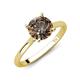 3 - Zaire 1.90 ctw Smoky Quartz Hidden Halo accented Side Natural Diamond Engagement Ring 