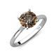 3 - Zaire 1.90 ctw Smoky Quartz Hidden Halo accented Side Natural Diamond Engagement Ring 