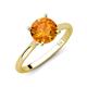 3 - Zaire 2.00 ctw Citrine Hidden Halo accented Side Natural Diamond Engagement Ring 