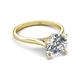 4 - Zaire 1.70 ctw Moissanite Hidden Halo accented Side Natural Diamond Engagement Ring 