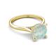 4 - Zaire 1.50 ctw Opal Hidden Halo accented Side Natural Diamond Engagement Ring 