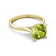 4 - Zaire 1.90 ctw Peridot Hidden Halo accented Side Natural Diamond Engagement Ring 