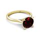 4 - Zaire 2.36 ctw Red Garnet Hidden Halo accented Side Natural Diamond Engagement Ring 