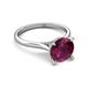 4 - Zaire 2.36 ctw Rhodolite Garnet Hidden Halo accented Side Natural Diamond Engagement Ring 