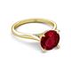 4 - Zaire 2.85 ctw Created Ruby Hidden Halo accented Side Natural Diamond Engagement Ring 