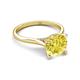 4 - Zaire 2.10 ctw Yellow Diamond Hidden Halo accented Side Natural Diamond Engagement Ring 