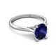 5 - Zaire 2.61 ctw Blue Sapphire Oval Shape (9x7 mm) accented side Natural Diamond Hidden Halo Engagement Ring 