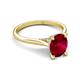 5 - Zaire 2.61 ctw Created Ruby Oval Shape (9x7 mm) accented side Natural Diamond Hidden Halo Engagement Ring 