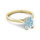 5 - Zaire 1.86 ctw Aquamarine Oval Shape (9x7 mm) accented side Natural Diamond Hidden Halo Engagement Ring 