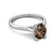 5 - Zaire 1.86 ctw Smoky Quartz Oval Shape (9x7 mm) accented side Natural Diamond Hidden Halo Engagement Ring 