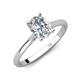 4 - Zaire 2.01 ctw Moissanite Oval Shape (9x7 mm) accented side Natural Diamond Hidden Halo Engagement Ring 