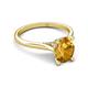 5 - Zaire 1.81 ctw Citrine Oval Shape (9x7 mm) accented side Natural Diamond Hidden Halo Engagement Ring 