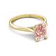 5 - Zaire 1.72 ctw Morganite Oval Shape (9x7 mm) accented side Natural Diamond Hidden Halo Engagement Ring 