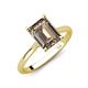 3 - Zaire 2.37 ctw Smoky Quartz Emerald Shape (9x7 mm) Hidden Halo accented Side Natural Diamond Engagement Ring 