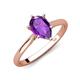 3 - Zaire 1.25 ctw Amethyst Pear Shape (9x6 mm) Hidden Halo accented Side Natural Diamond Engagement Ring 