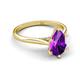 5 - Zaire 1.25 ctw Amethyst Pear Shape (9x6 mm) Hidden Halo accented Side Natural Diamond Engagement Ring 